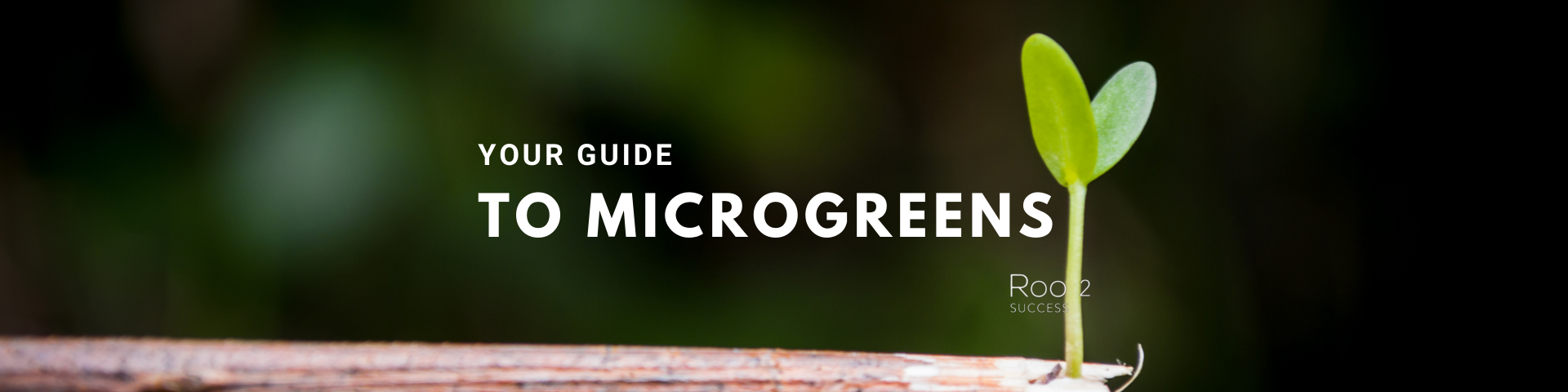 Guide to microgreens