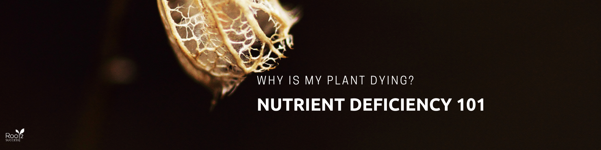 Nutrient Deficiency 101