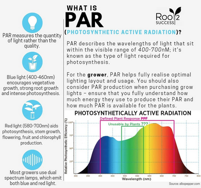 PAR infographic