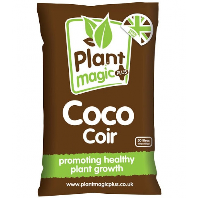 plant based protein powder Everyday Plant Protein